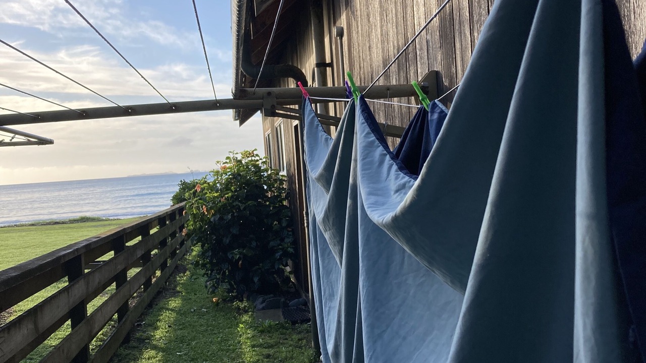 Photo of Others in Taupo Bay