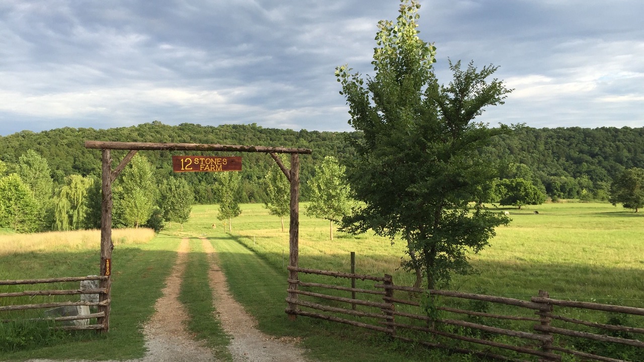 Photo of Outdoor in Forsyth