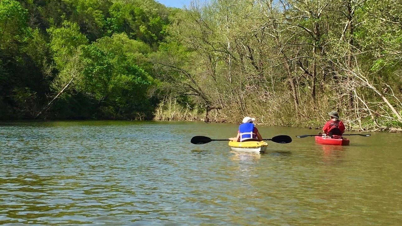 Photo of Others in Forsyth