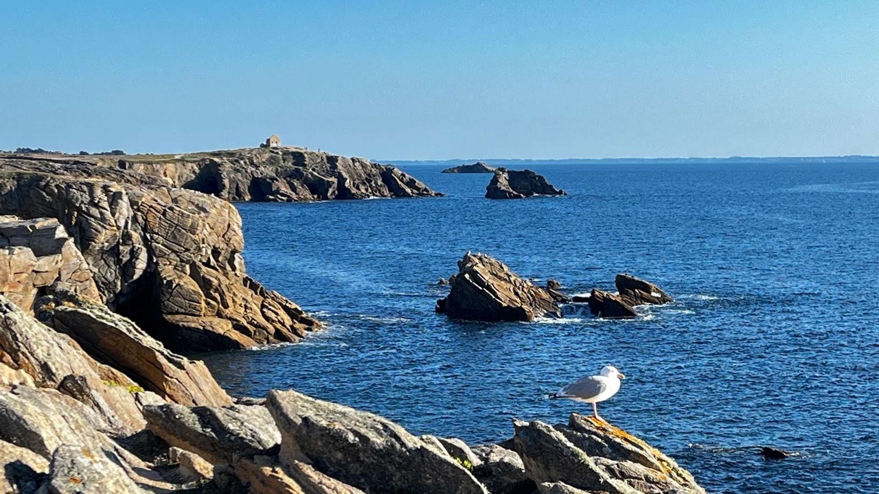 Photo of Others in Quiberon