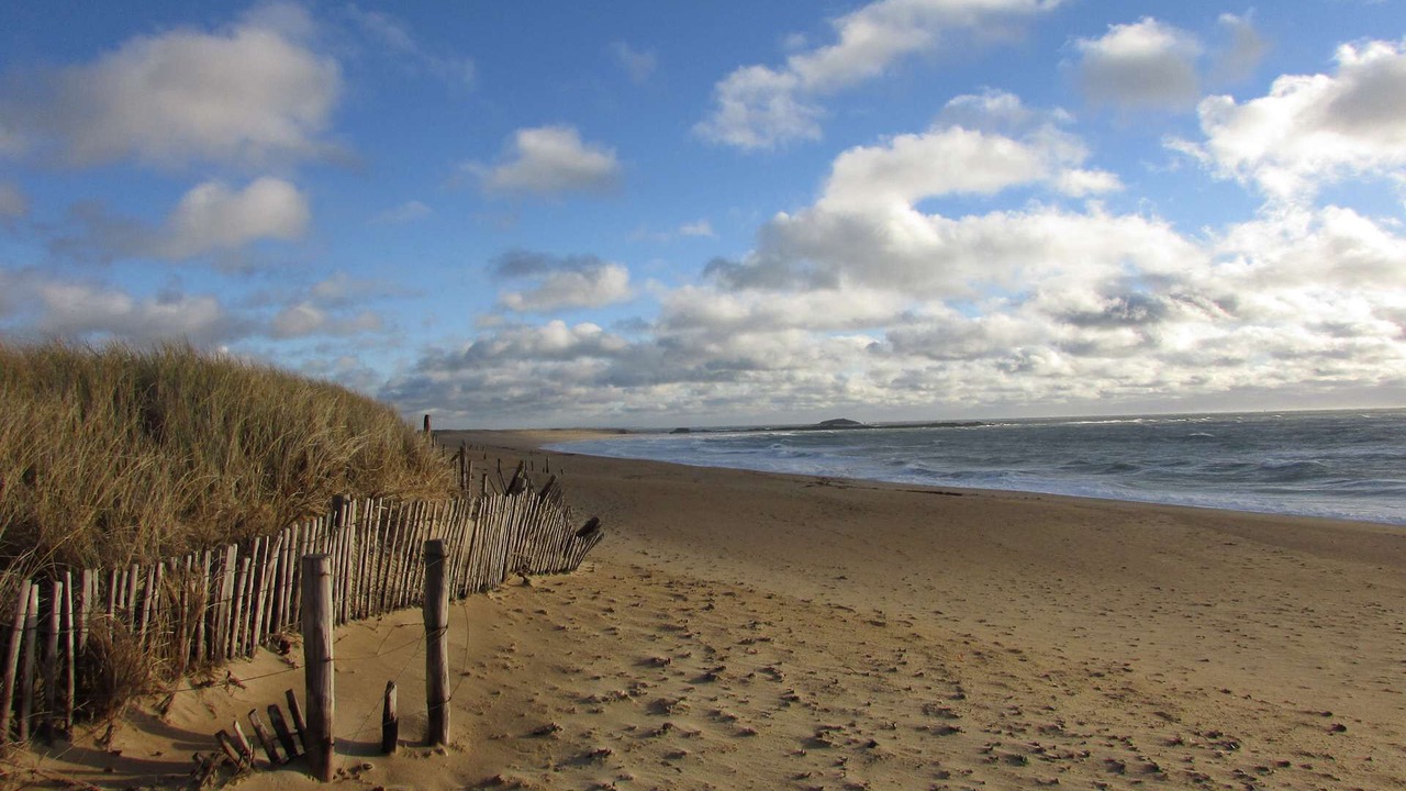 Photo of Others in Etel