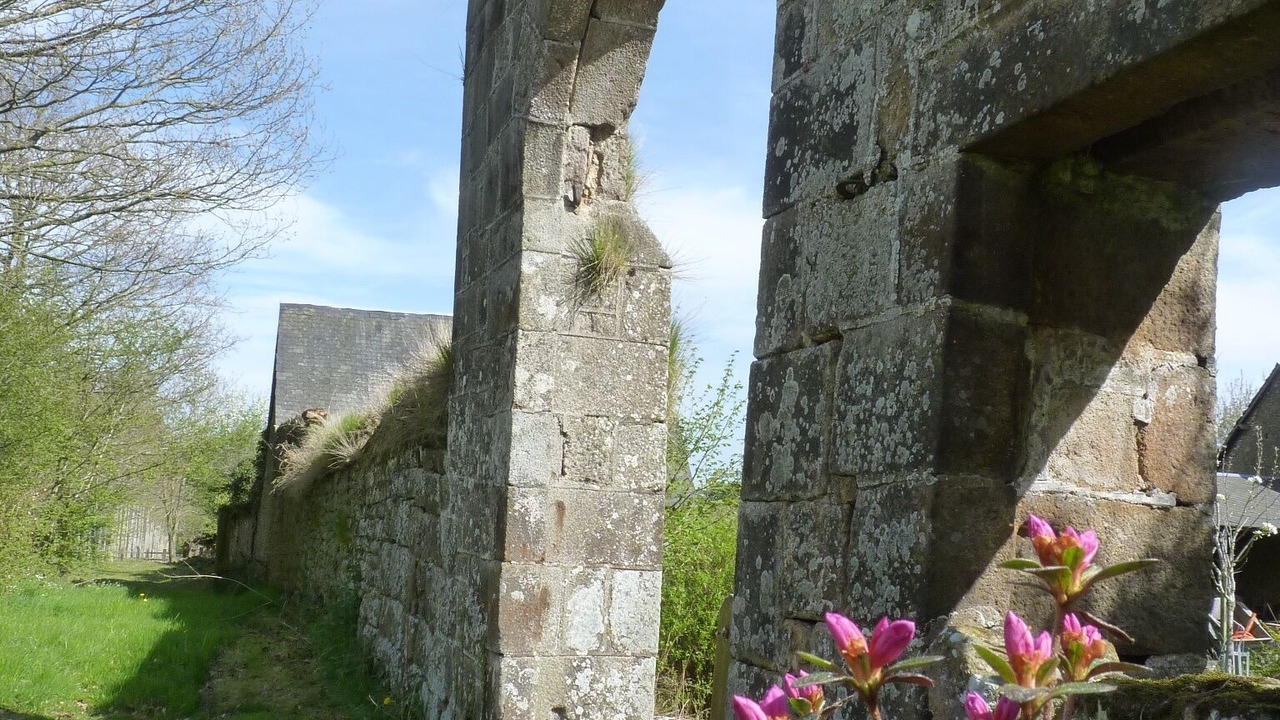 Photo of Outdoor in Sainte-Honorine-la-Chardonne