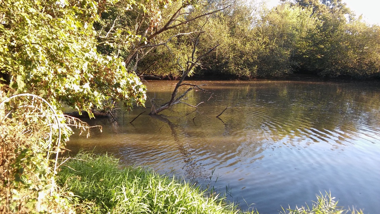 Photo of Outdoor in Sainte-Honorine-la-Chardonne