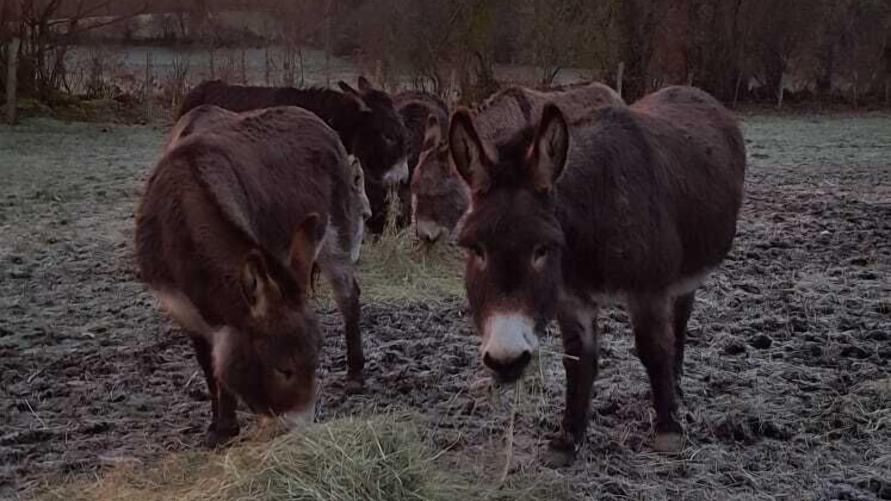 Photo of Outdoor in Sainte-Honorine-la-Chardonne