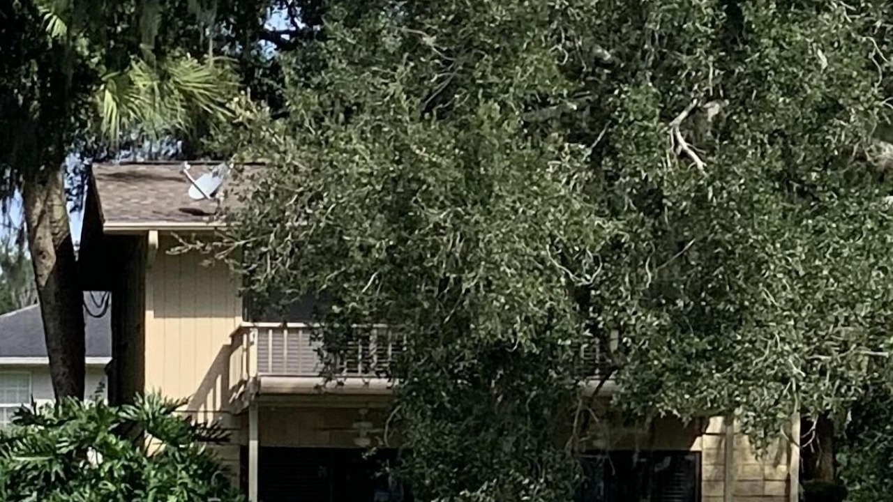 Photo of Outdoor in Candler