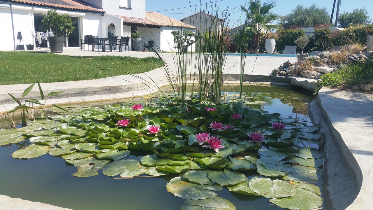 Photo of Outdoor in Cuxac-dʼAude