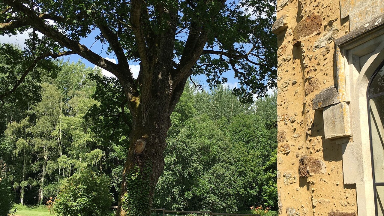 Photo of Outdoor in Sille-le-Philippe