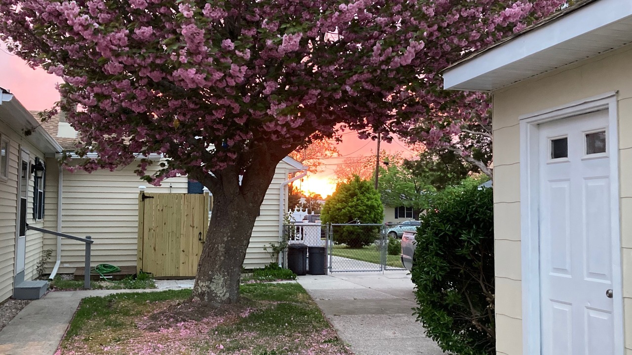 Photo of Outdoor in North Cape May