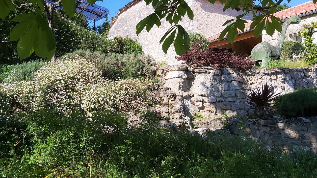 Photo of Outdoor in Monjoi
