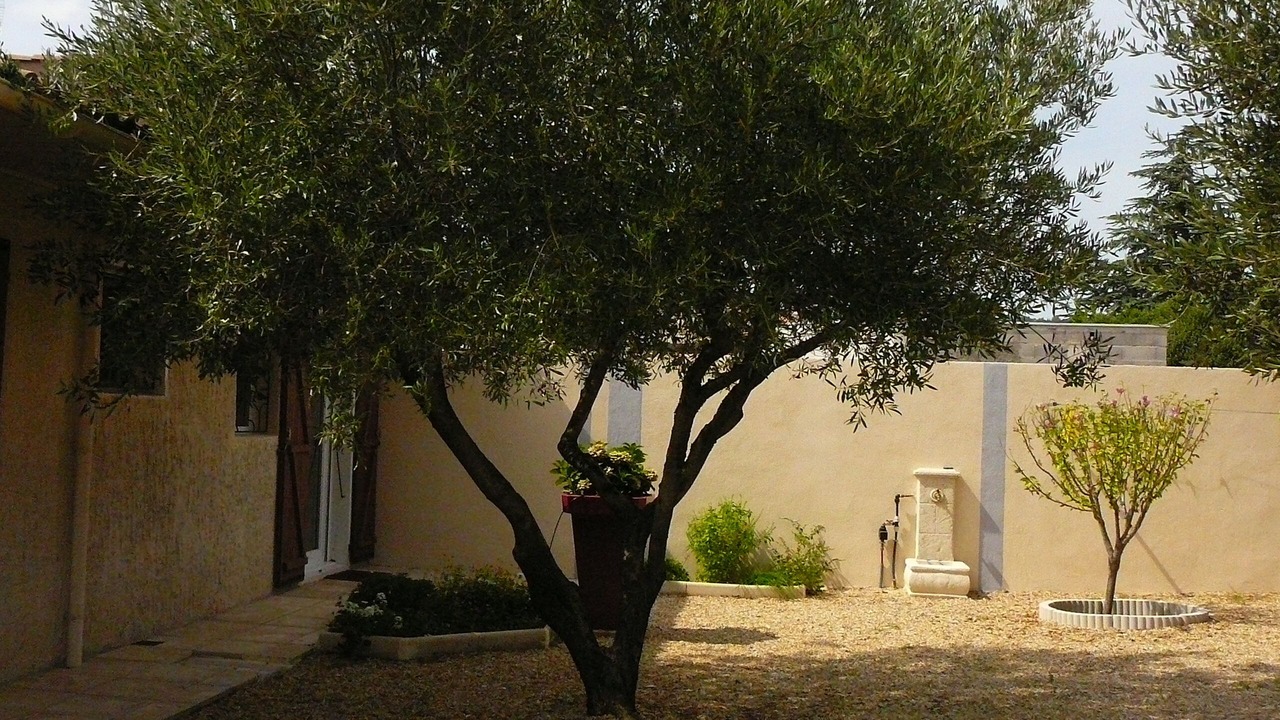 Photo of Outdoor in Clarensac