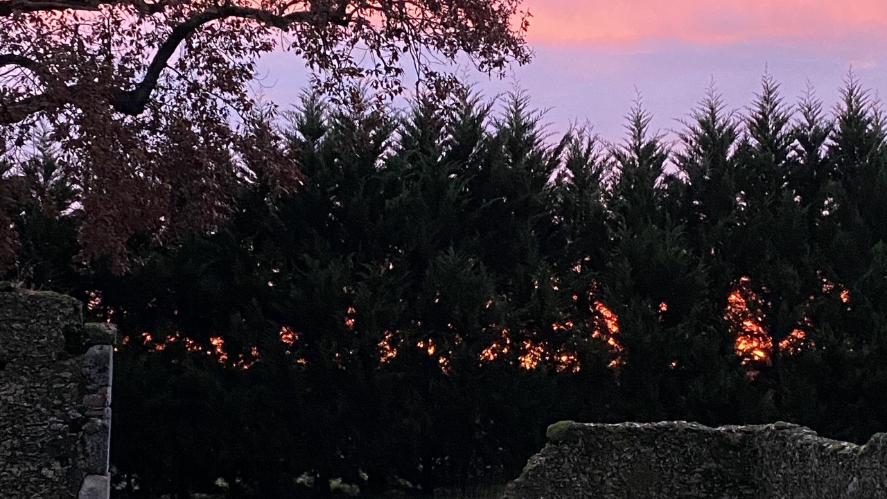 Photo of Outdoor in Mauleon-d'Armagnac