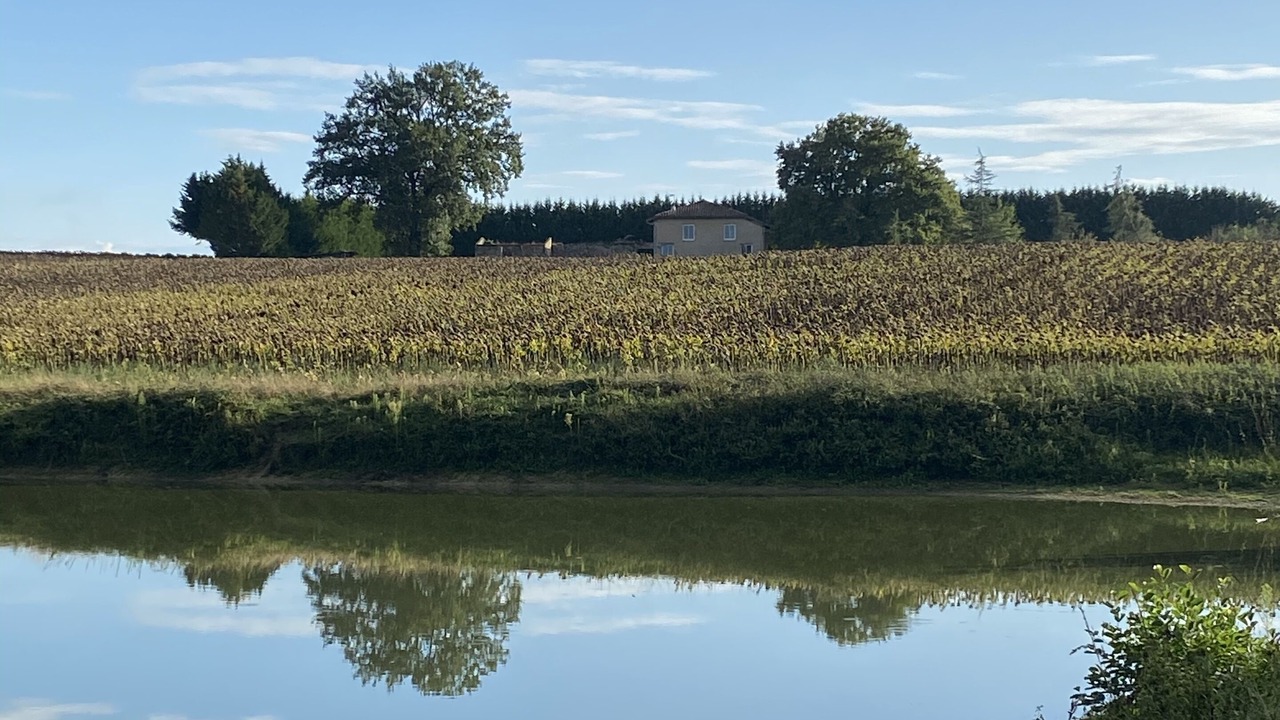 Photo of Outdoor in Mauleon-d'Armagnac