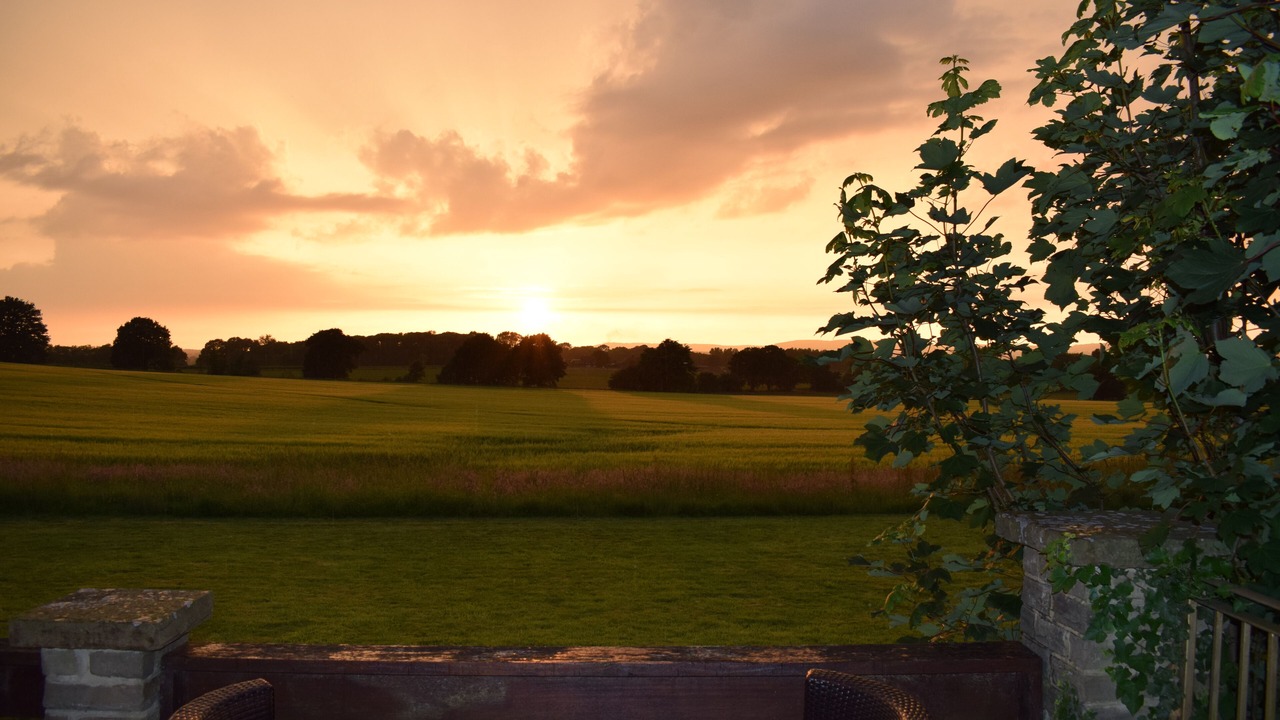 Photo of Outdoor in Willesborough