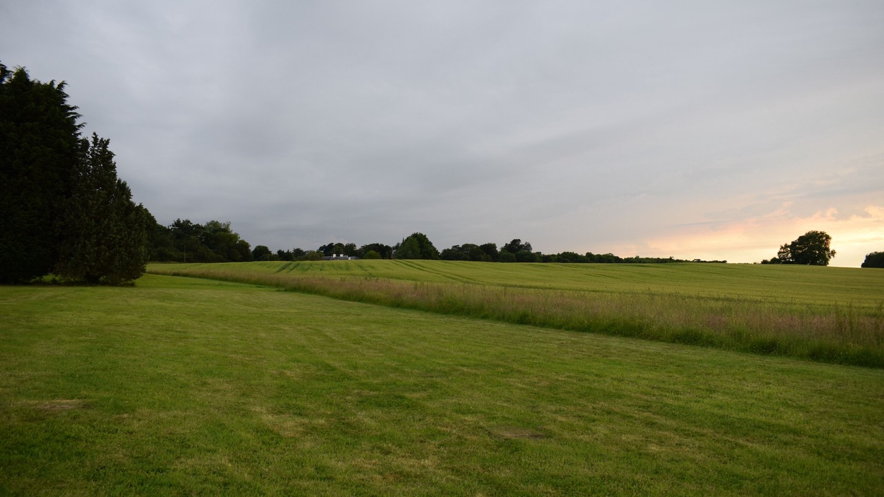 Photo of Others in Willesborough