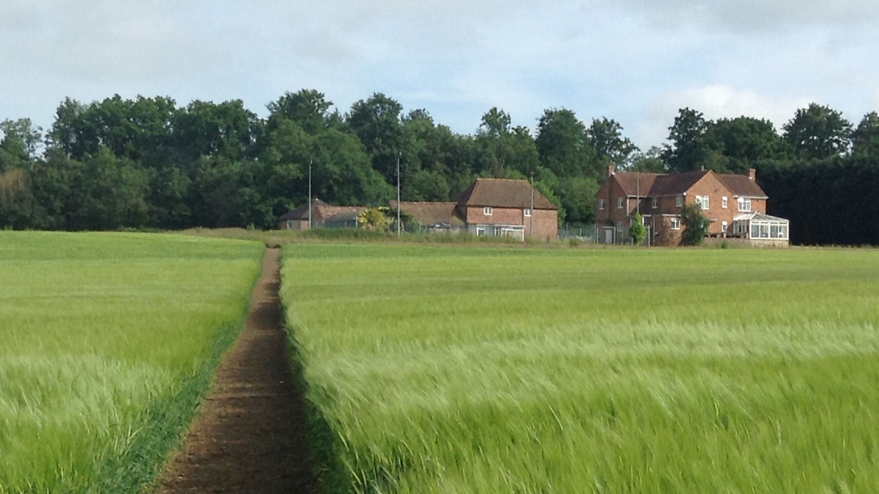 Photo of Others in Willesborough