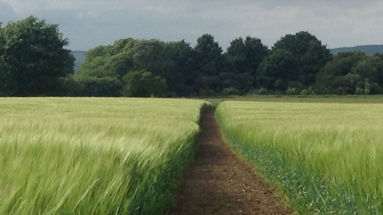 Photo of Others in Willesborough