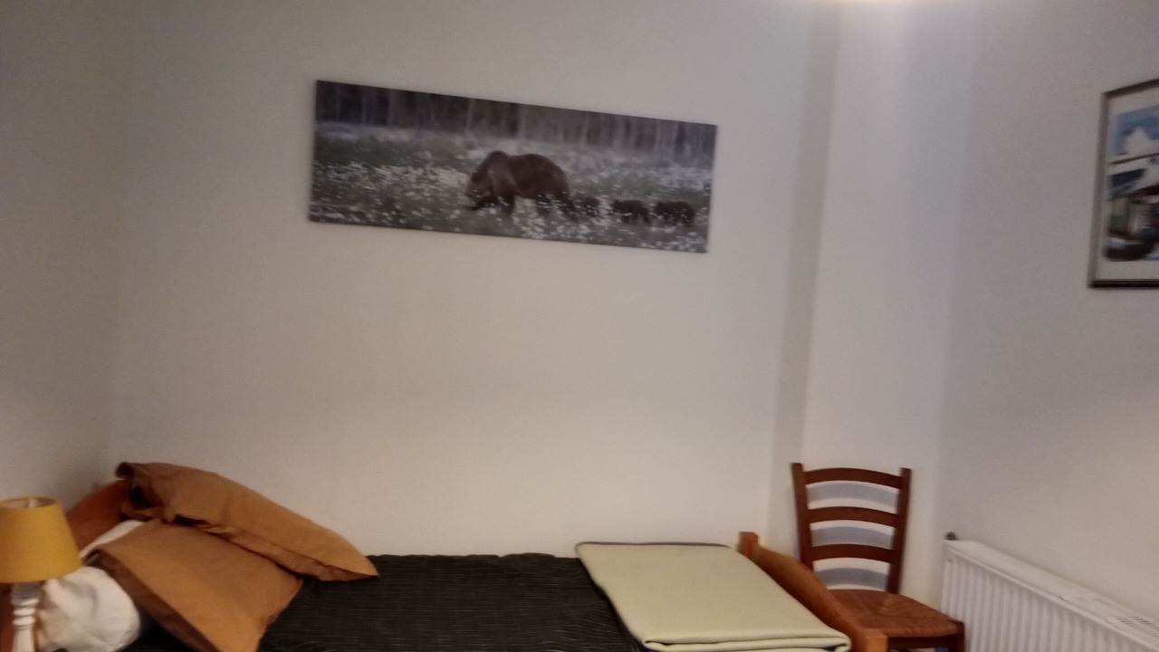 Photo of Bedroom in Bagneres-de-Luchon
