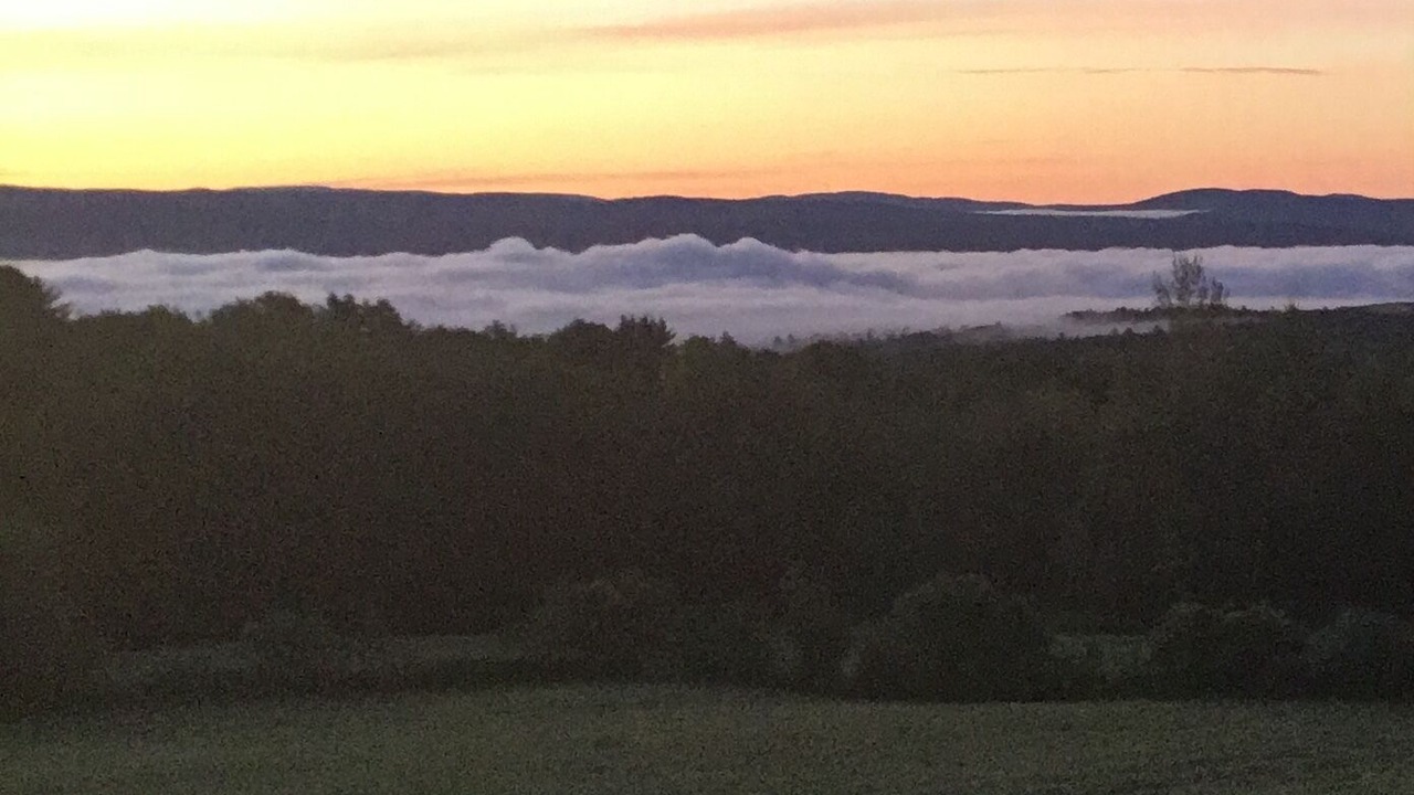 Photo of Others in Springfield