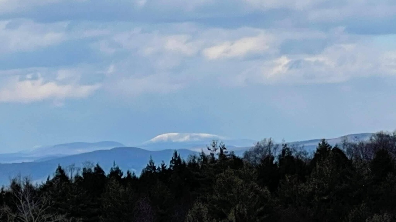 Photo of Others in Springfield