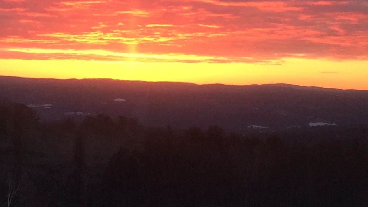 Photo of Others in Springfield