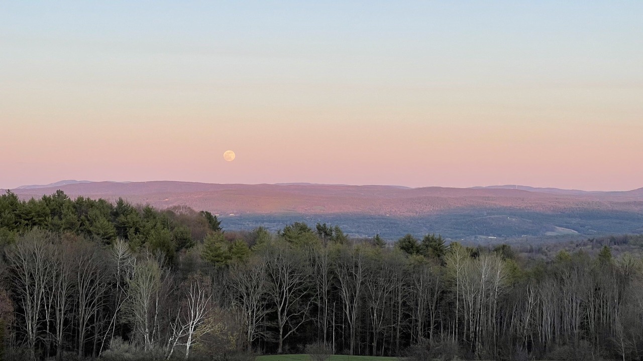 Photo of Others in Springfield