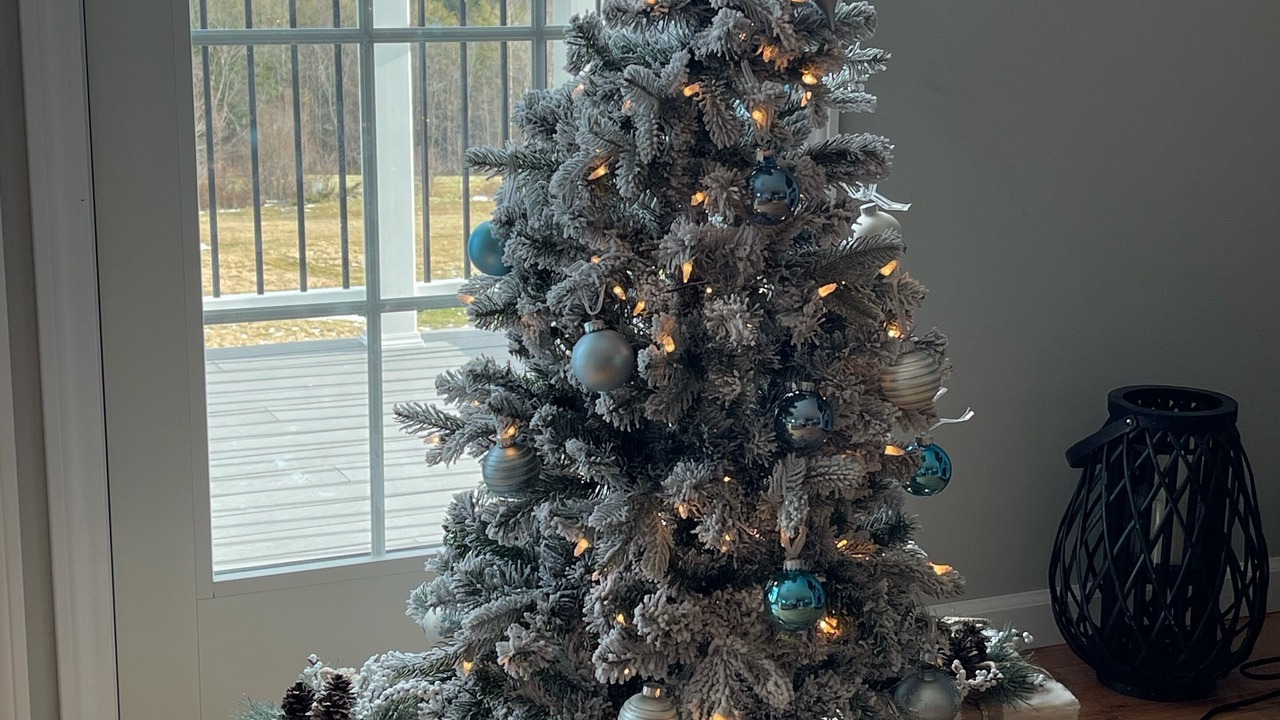 Photo of Others in Springfield