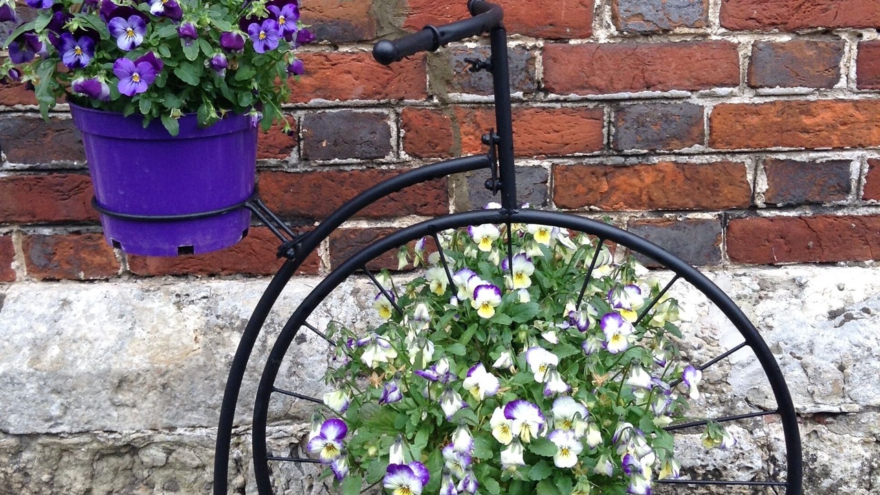 Photo of Outdoor in Willesborough