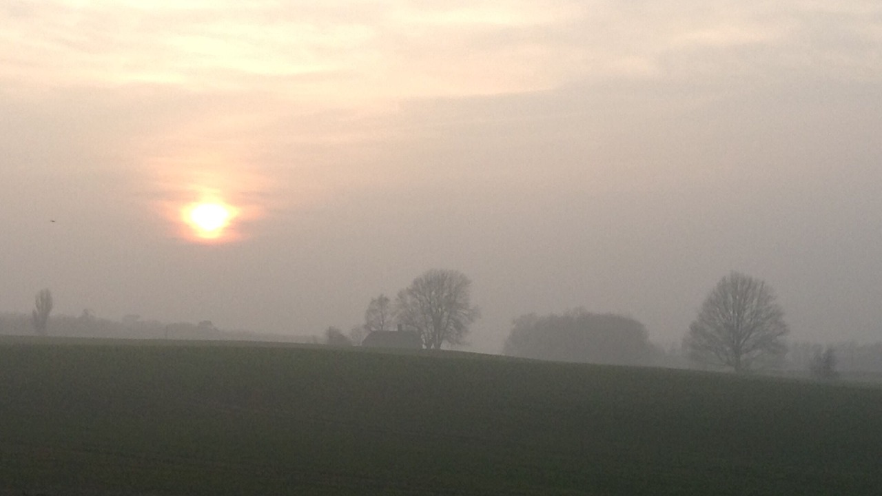 Photo of Others in Willesborough