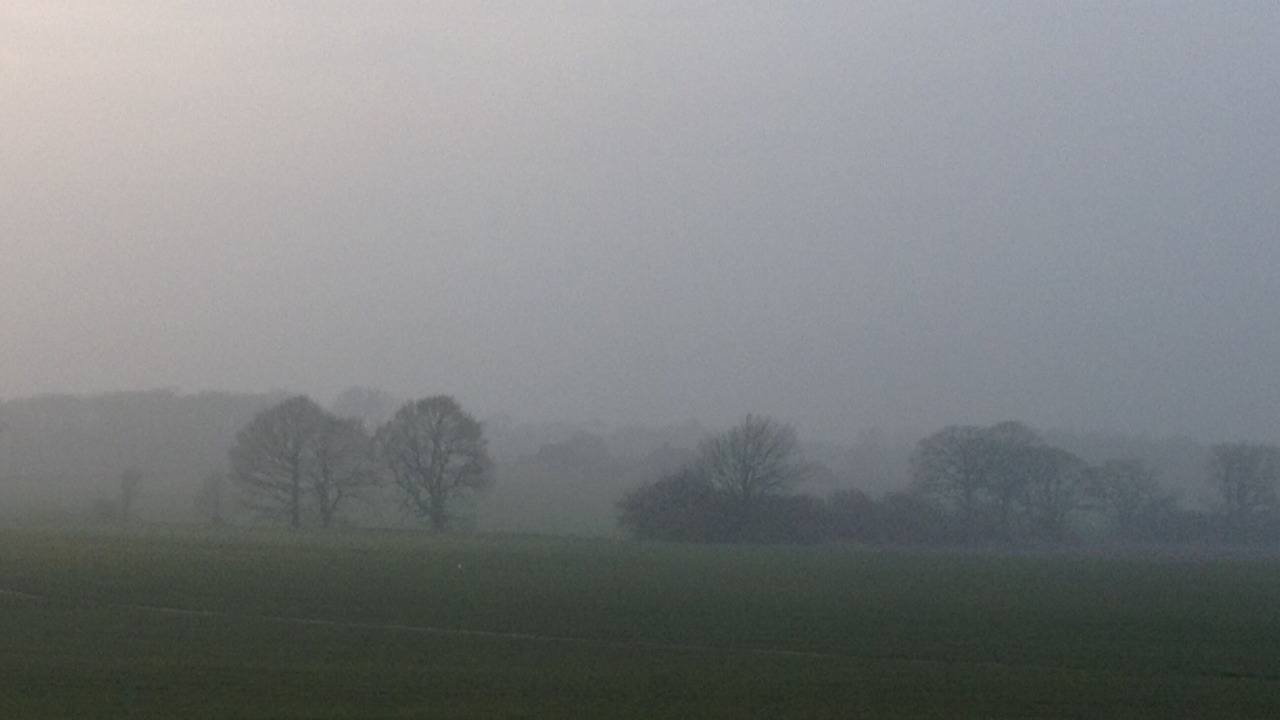 Photo of Others in Willesborough