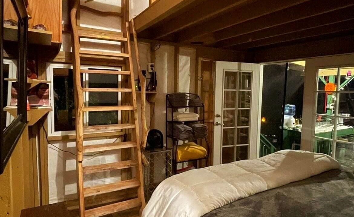 Photo of Others in Fern Acres