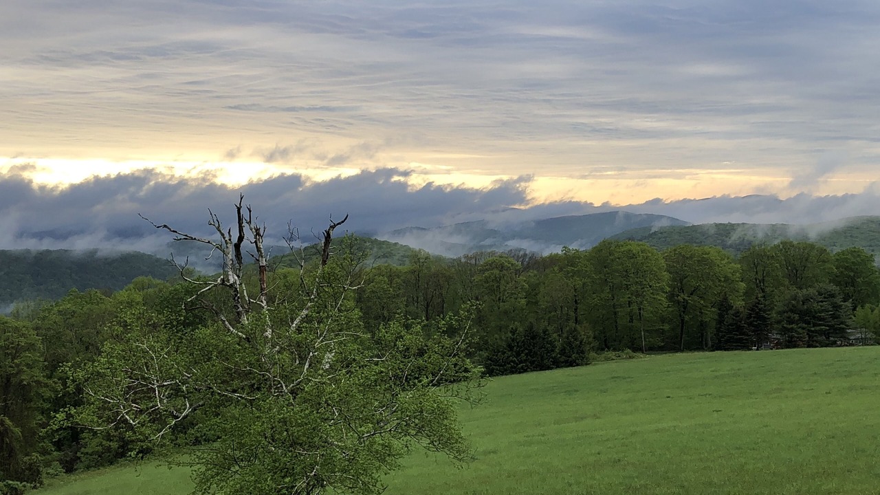 Photo of Others in West Cornwall