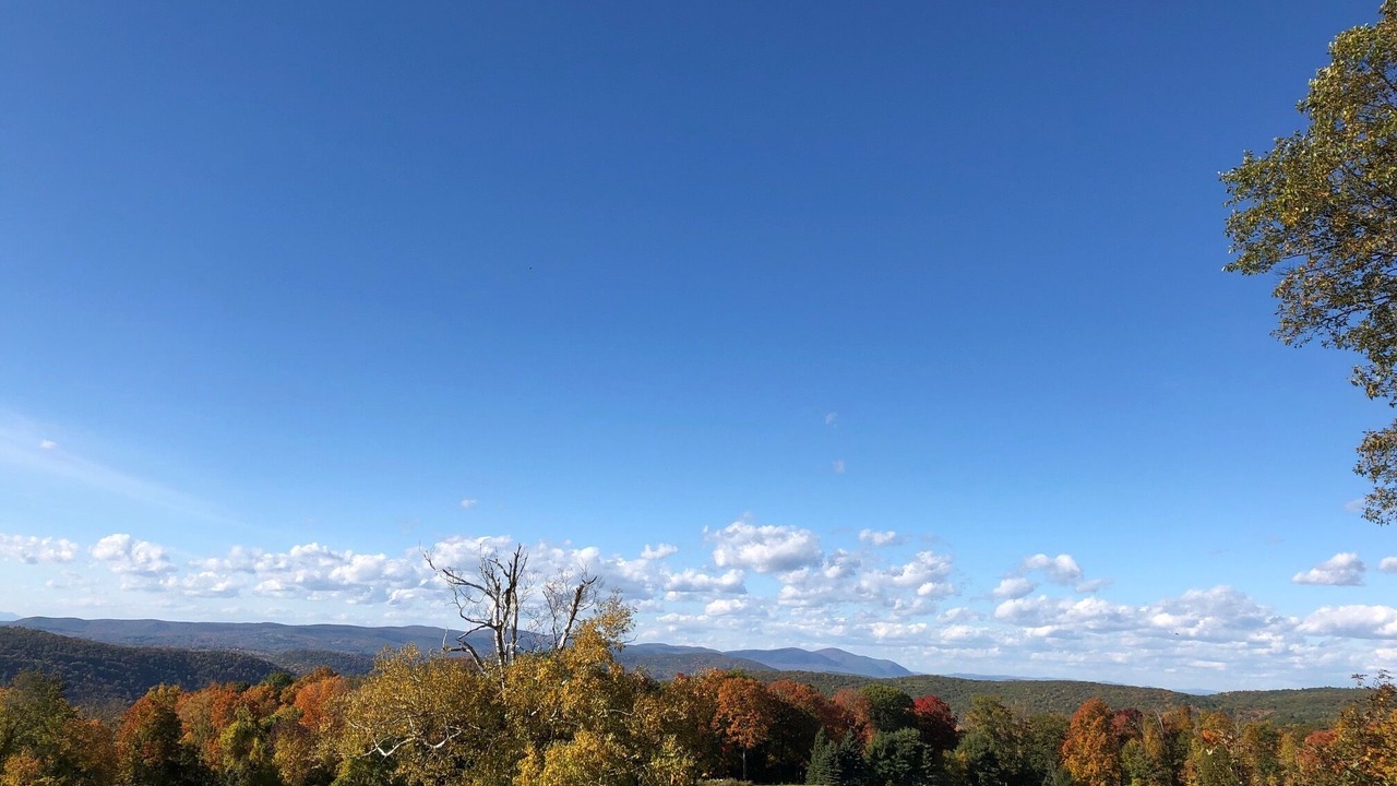 Photo of Others in West Cornwall