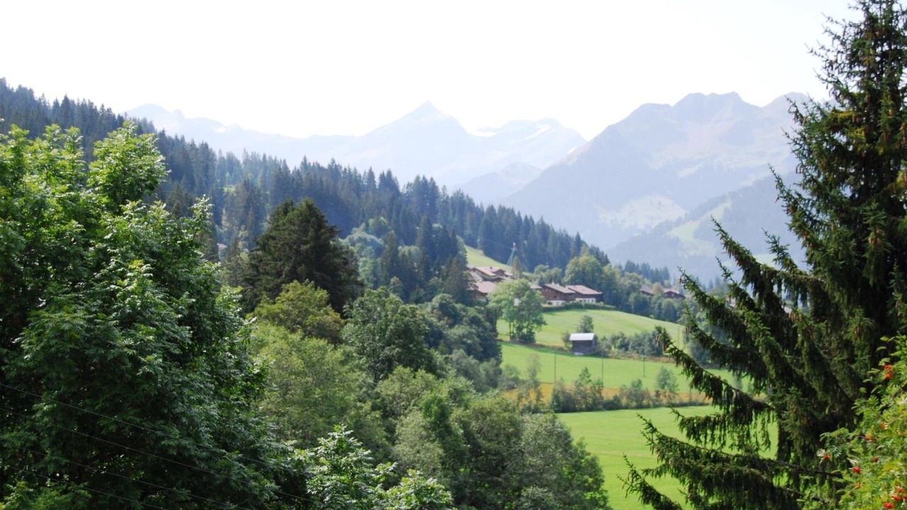 Photo of Outdoor in Saanenmoeser