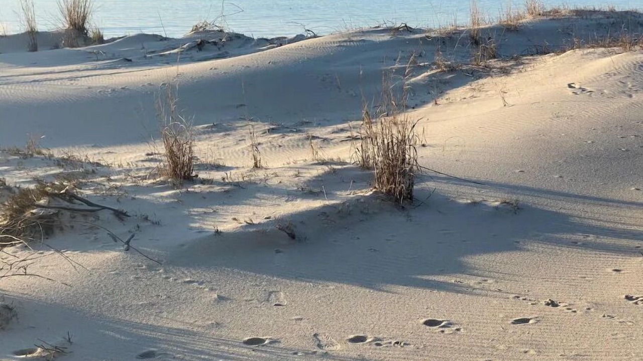 Photo of Others in Cape Charles