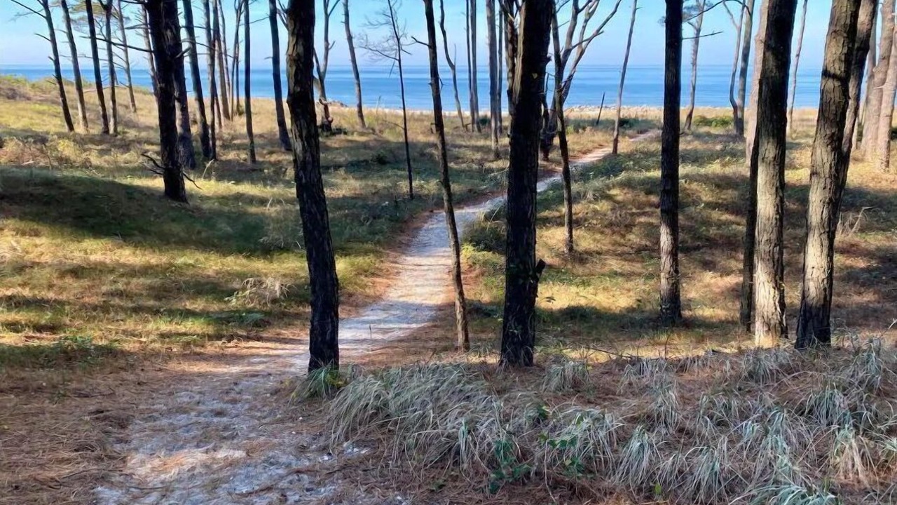 Photo of Others in Cape Charles