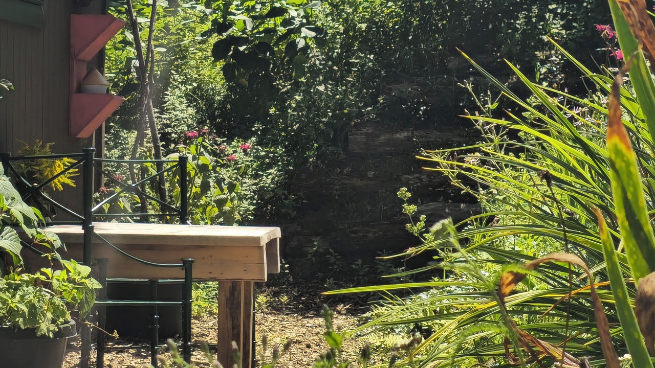 Photo of Outdoor in North Creek