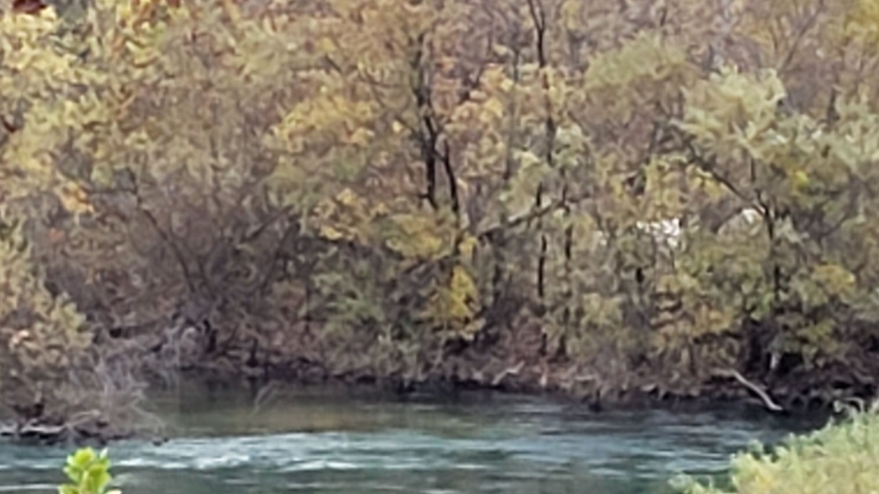 Photo of Others in Van Buren