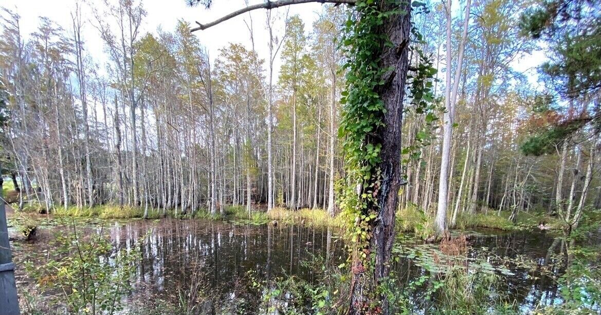 Photo of Outdoor in Valdosta