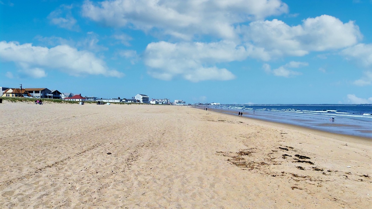 Photo of Others in Ocean Park