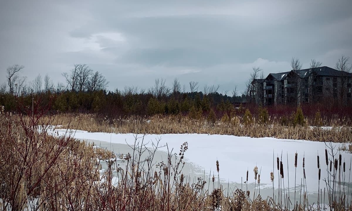Photo of Outdoor in Glen Huron