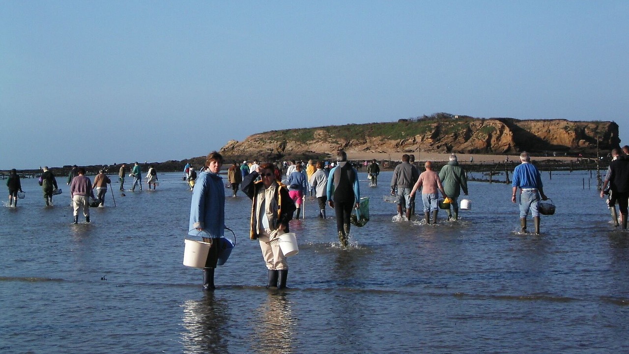 Photo of Others in Penestin