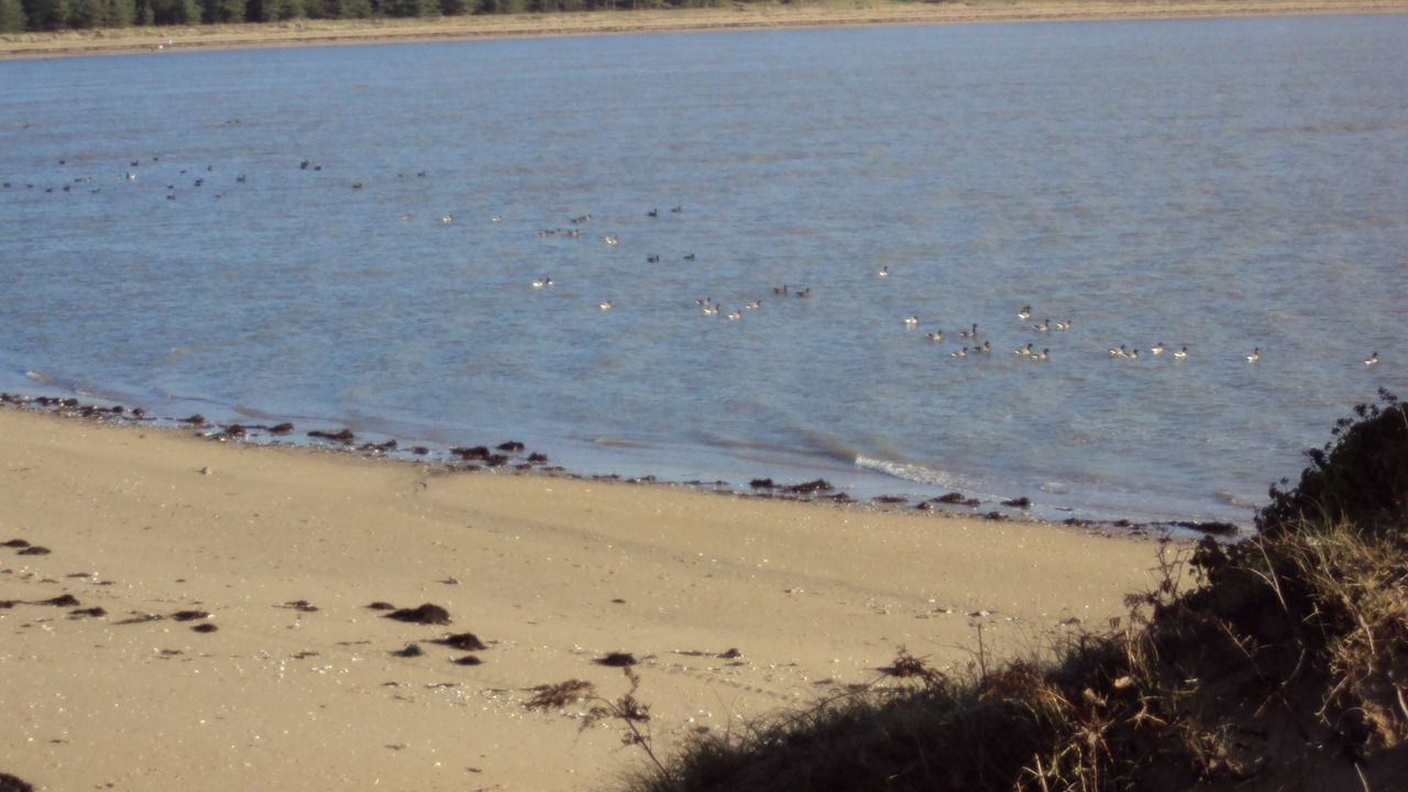 Photo of Others in Penestin