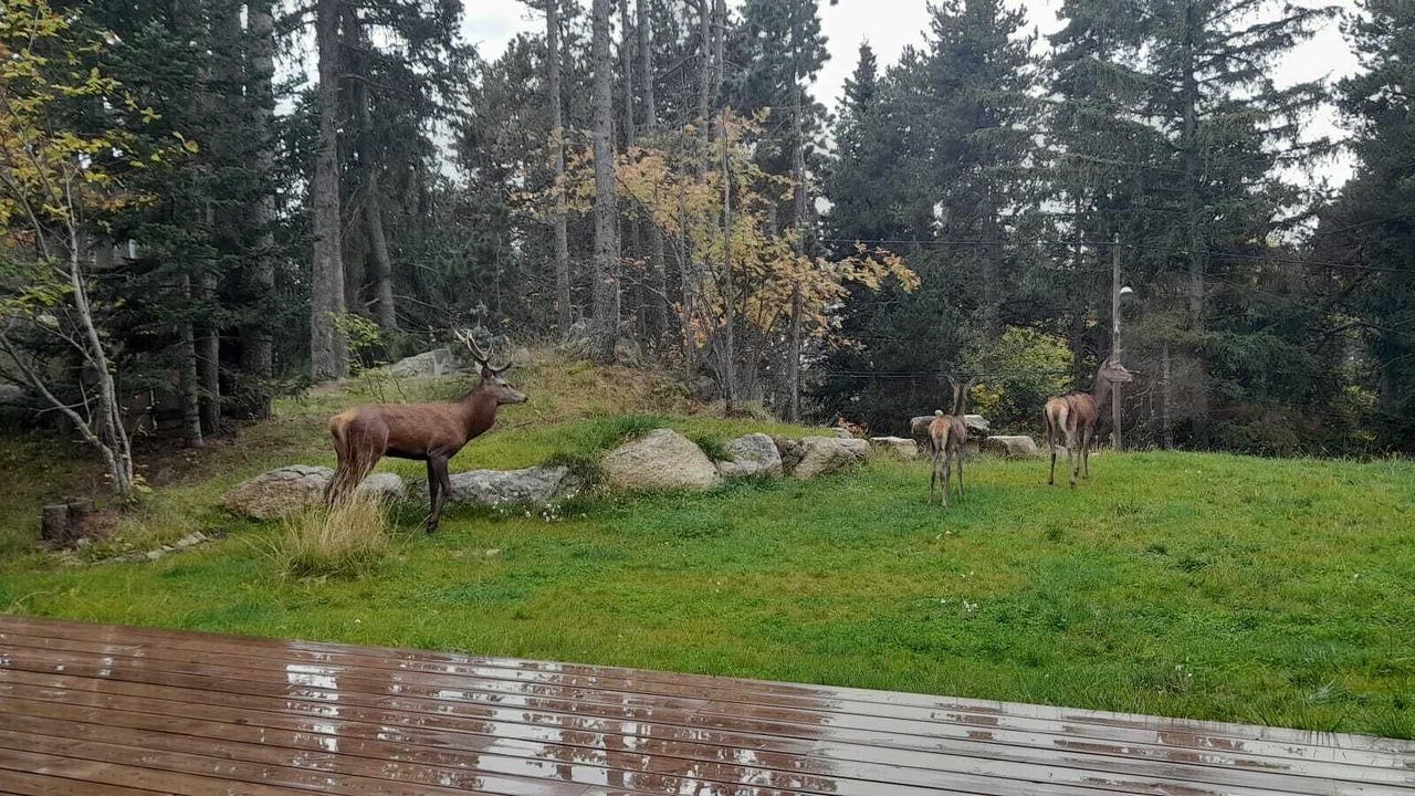 Photo of Outdoor in Superbolquere