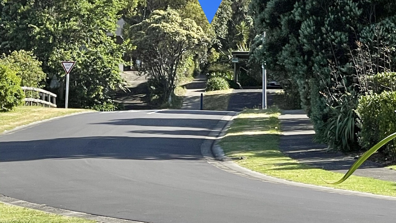 Photo of Others in Whangapoua