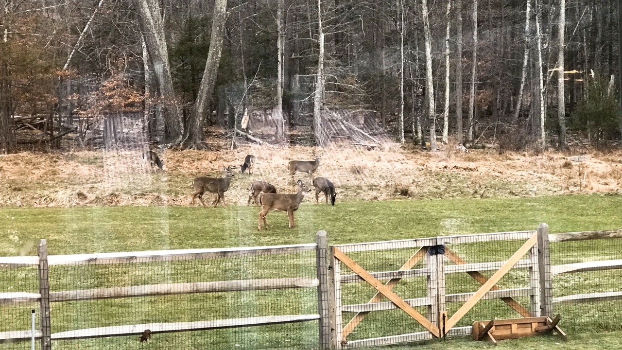 Photo of Others in Lake Hill