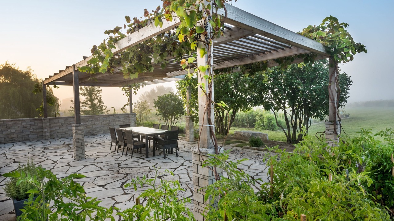 Photo of Outdoor in Virgil