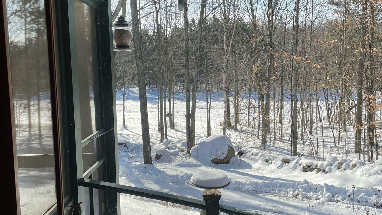 Photo of Outdoor in Brandon