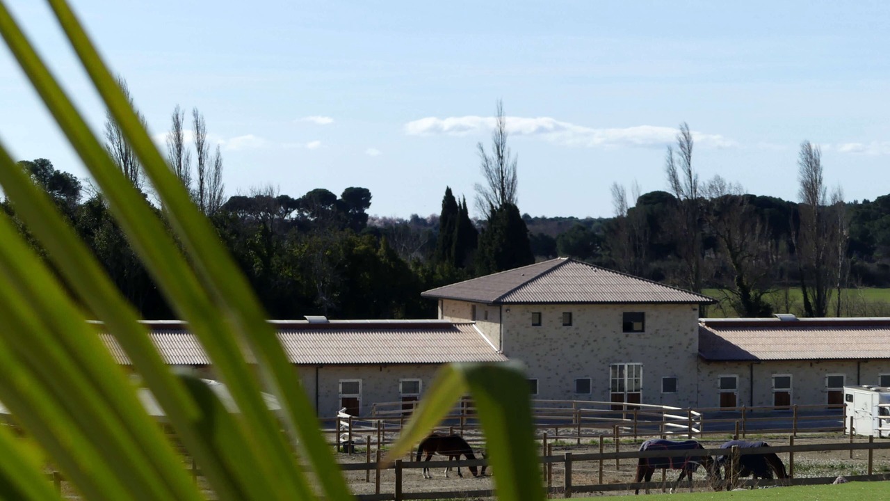 Photo of Outdoor in Vendres