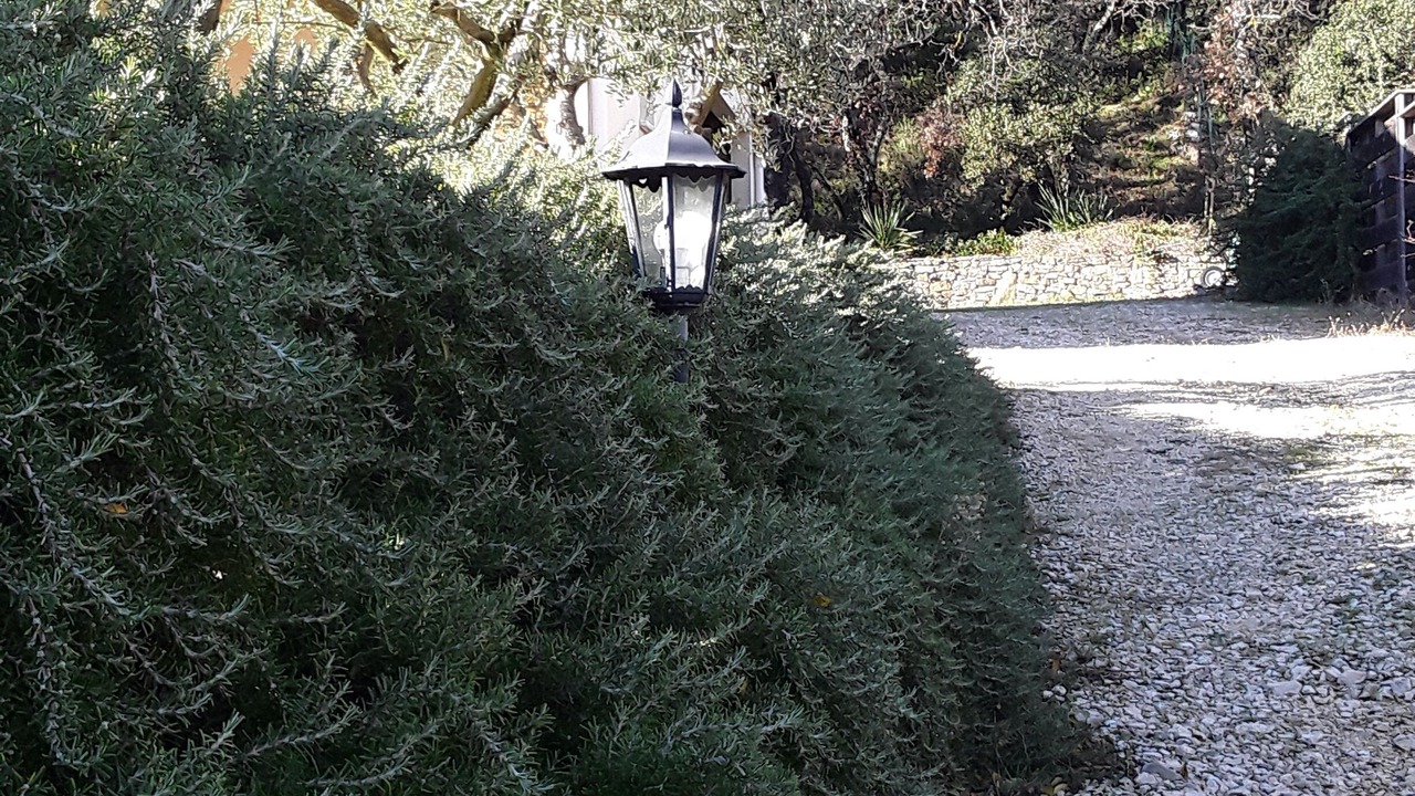 Photo of Outdoor in Lussan