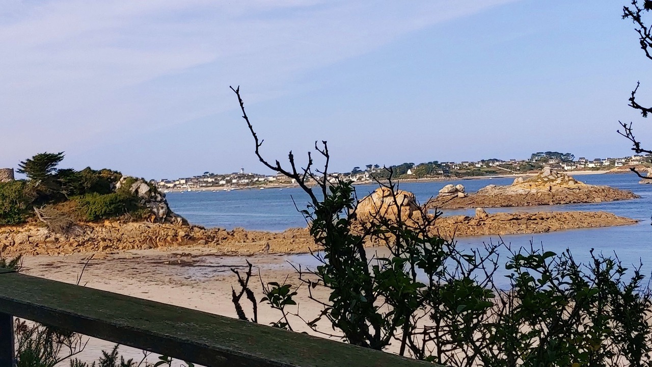 Photo of Others in Roscoff